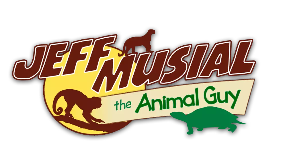 Jeff Musial &#8211; The Animal Guy!
