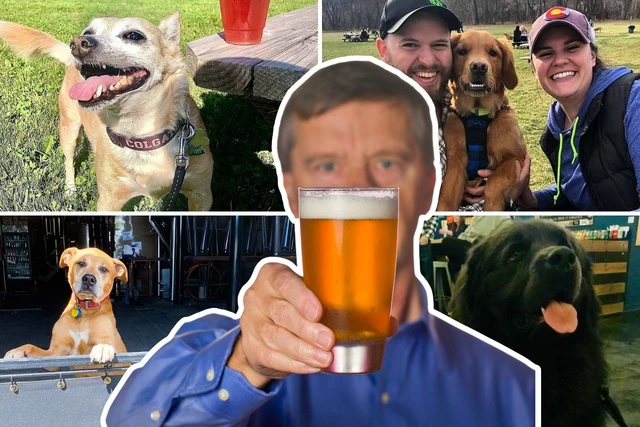 Doggies Are Welcome at These 15 Top New York Craft Breweries