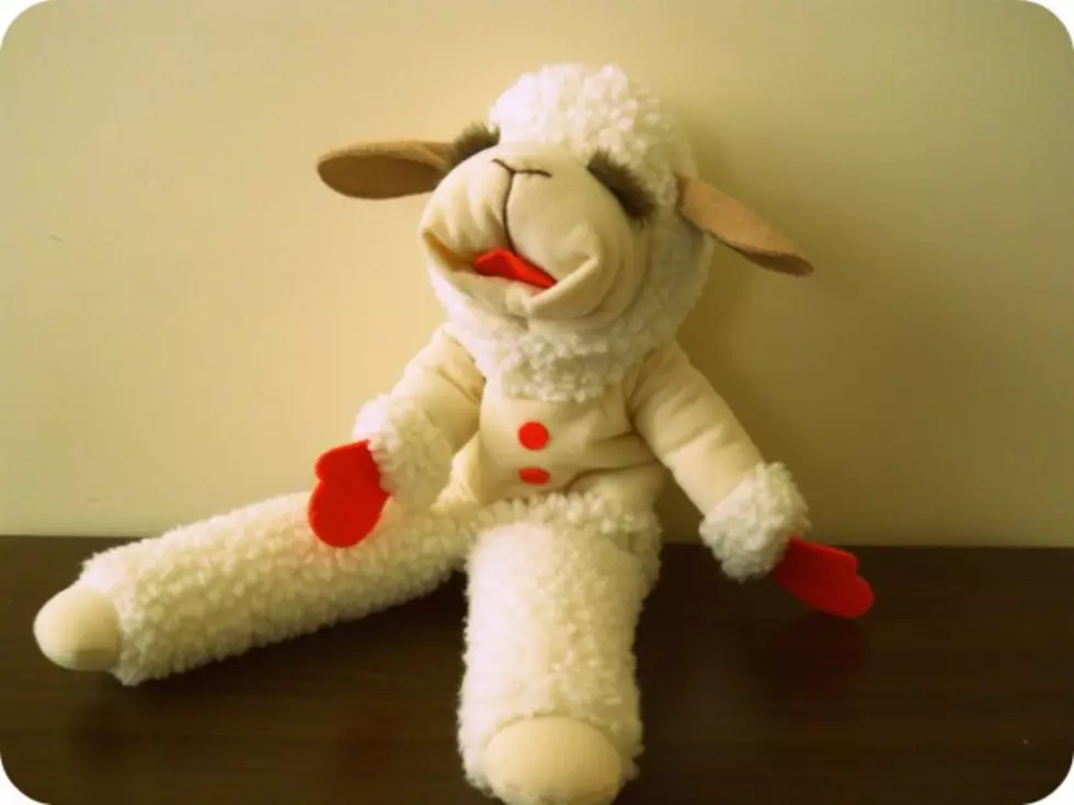 Happy 55th Birthday to Shari Lewis’ Lamb Chop! (VIDEO)