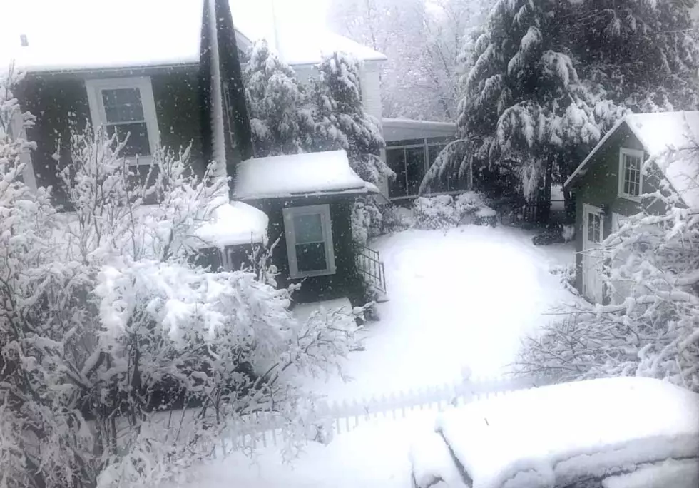 Storm Brings Multiple Accidents and Downed Trees, Wires