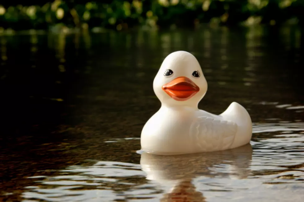 Family Resource Network Duck Derby is Saturday