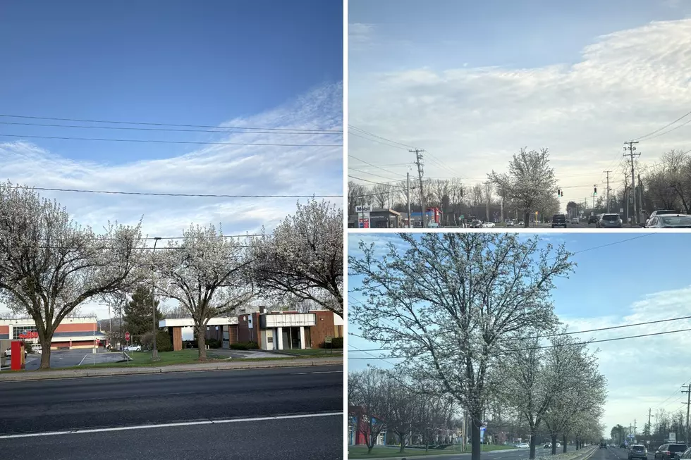 Yet Again, This Stretch Of Rt. 9 Stuns…For Now